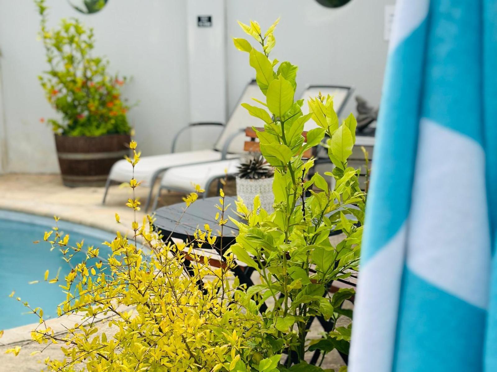موسيلباي Villa Da Graca - Homecooked Meals On Arrangement المظهر الخارجي الصورة